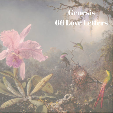66 Love Letters Study Guide: Genesis