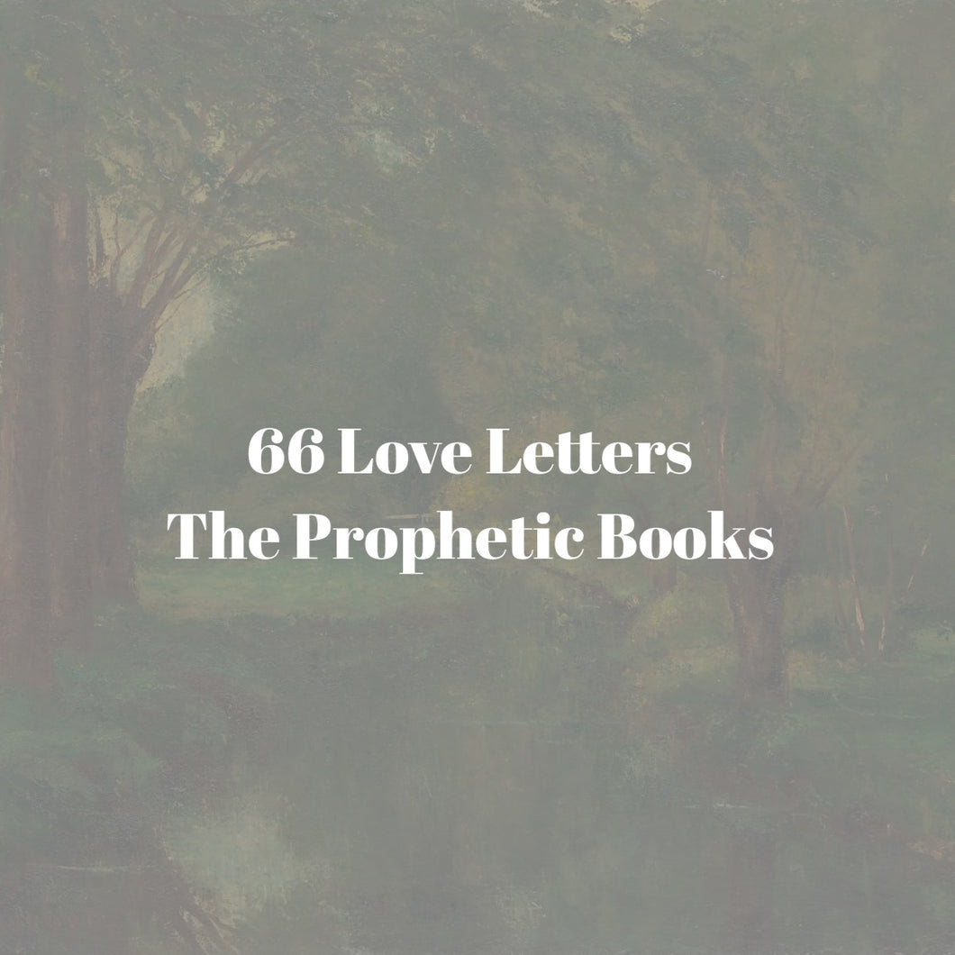 66 Love Letters Study Guide Bundle: Part Four: A Word to the Foolish (Prophetic Books)